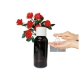 Aceite esencial concentrado de rosa para la loción de lavado de manos